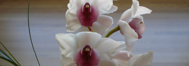 Uusi vuosi – mittauksia tiedossa