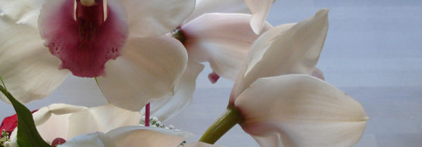 Mielenkiinnolla vuoteen 2015