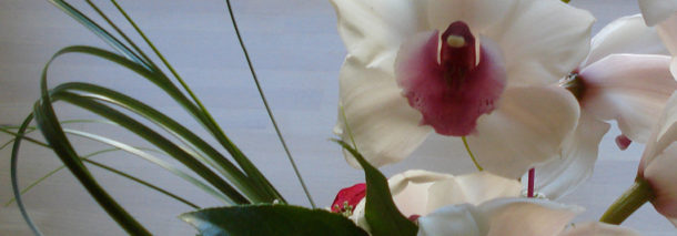 Poimintoja menneeltä vuodelta ja odotuksia uudelta vuodelta 2016