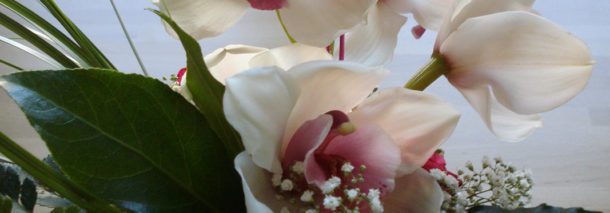 Uusi vuosi 2017 – mielenkiintoisia asioita tulossa